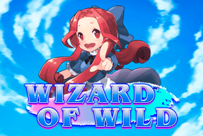 Wizard Of Wild